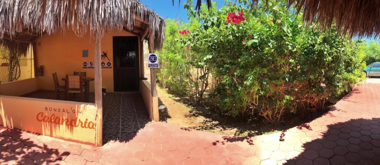 Bungalows Cabo Pulmo Екстер'єр фото