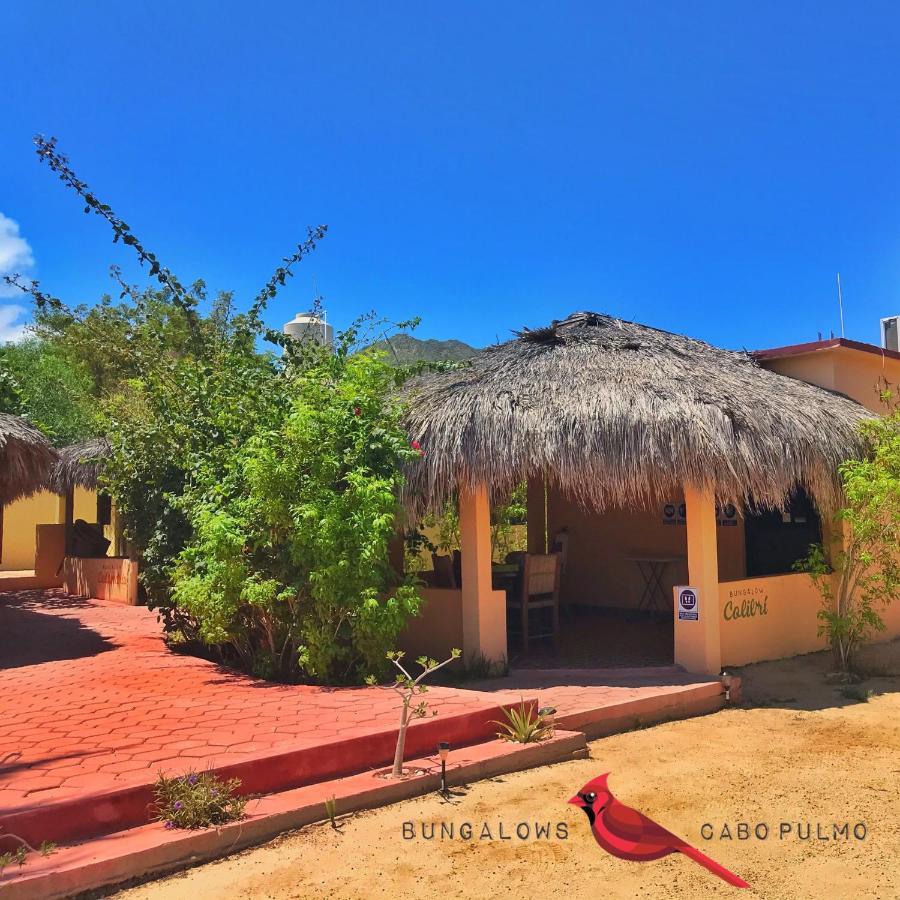 Bungalows Cabo Pulmo Екстер'єр фото