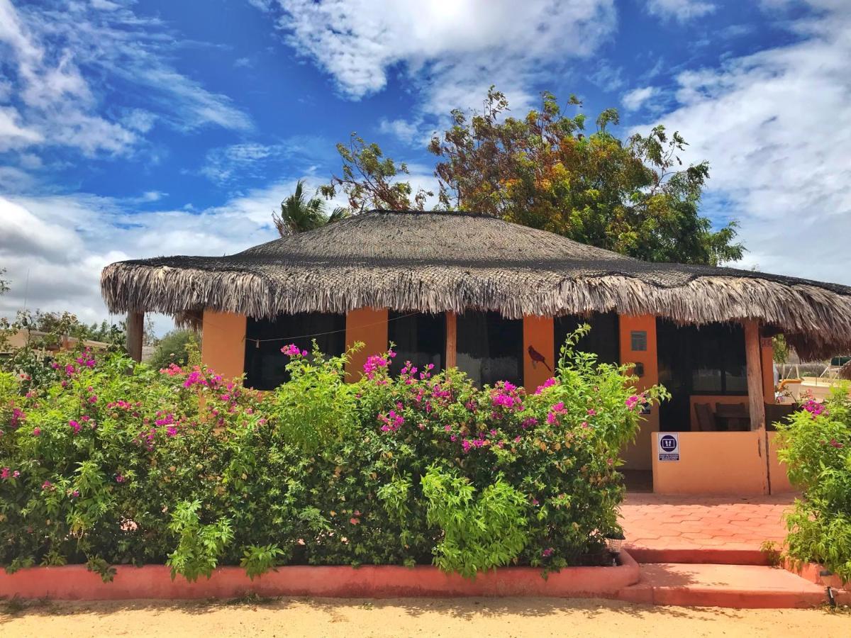 Bungalows Cabo Pulmo Екстер'єр фото