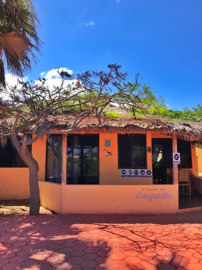 Bungalows Cabo Pulmo Екстер'єр фото