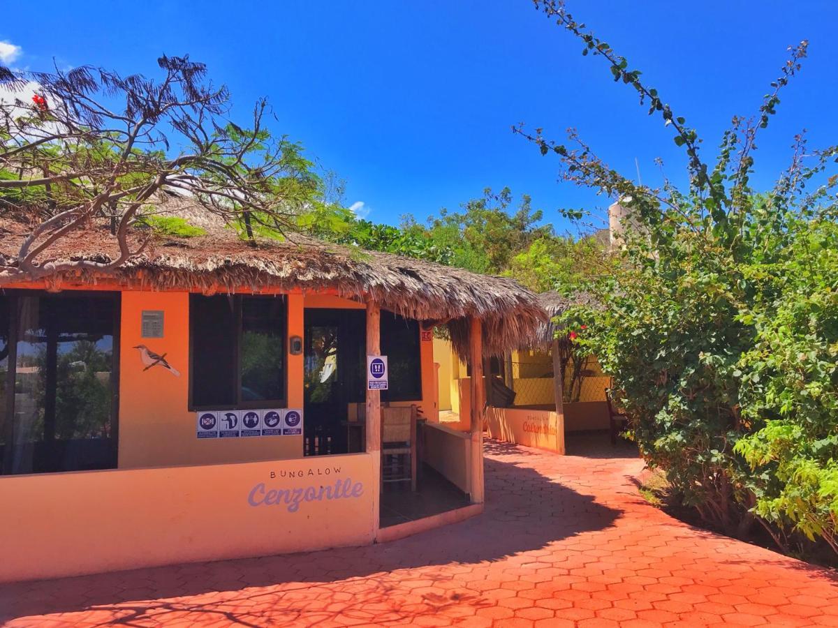 Bungalows Cabo Pulmo Екстер'єр фото