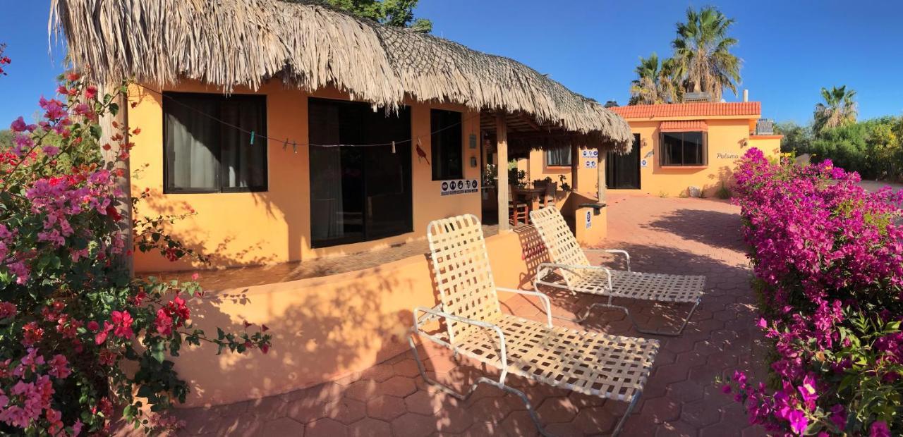 Bungalows Cabo Pulmo Екстер'єр фото